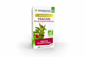 ARKOPHARMA Arkogélules Jambes Lourdes Fragon Bio 45 Gélules