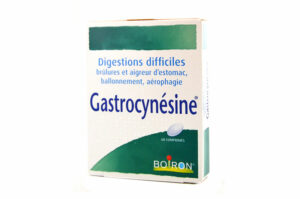 GASTROCYNESINE Digestions difficiles 60 comprimés