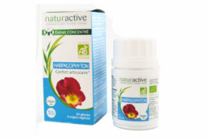 NATURACTIVE HARPAGOPHYTUM Confort articulaire 60 gélules