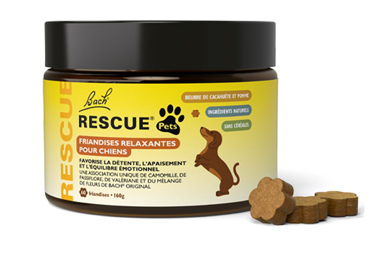 RESCUE Friandises relaxantes pour chiens PETS (animaux) boite de 60