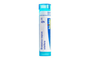 BRASSICA NAPUS OLEIFERA - Granules homéopathiques