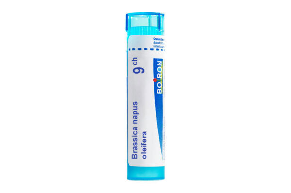 BRASSICA NAPUS OLEIFERA - Granules homéopathiques