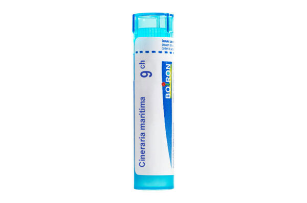 CINERARIA MARITIMA - Granules homéopathiques