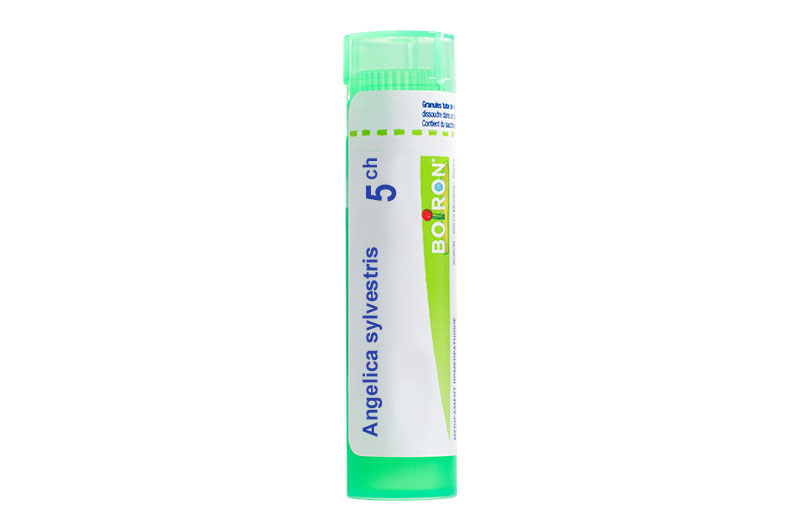 ANGELICA SYLVESTRIS - Granules homéopathiques