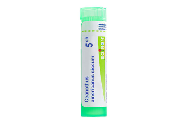 CEANOTHUS AMERICANUS SICCUM - Granules homéopathiques