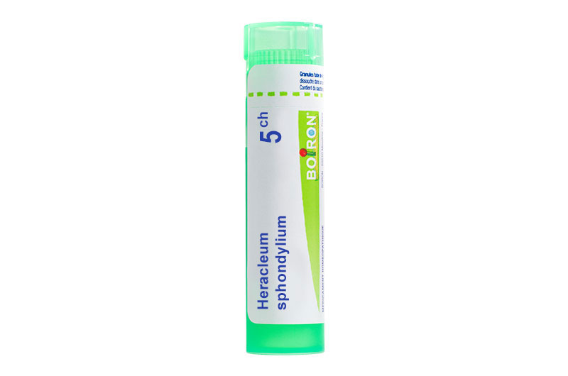 HERACLEUM SPHONDYLIUM - Granules homéopathiques