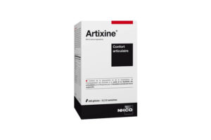 NHCO ARTIXINE 168 gélules