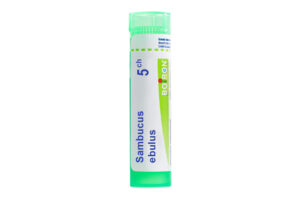 SAMBUCUS EBULUS - Granules homéopathiques