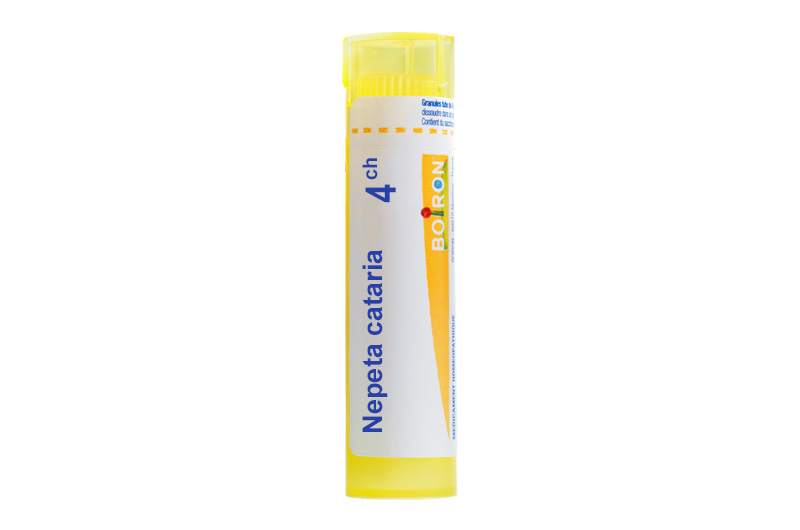 NEPETA CATARIA - Granules homéopathiques