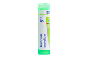 TEUCRIUM SCORDIUM - Granules homéopathiques
