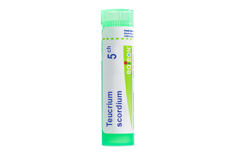 TEUCRIUM SCORDIUM - Granules homéopathiques