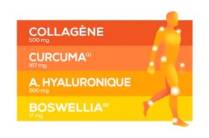 GRANIONS CHONDROSTÉO+MAX Douleurs articulaires 60 comprimés